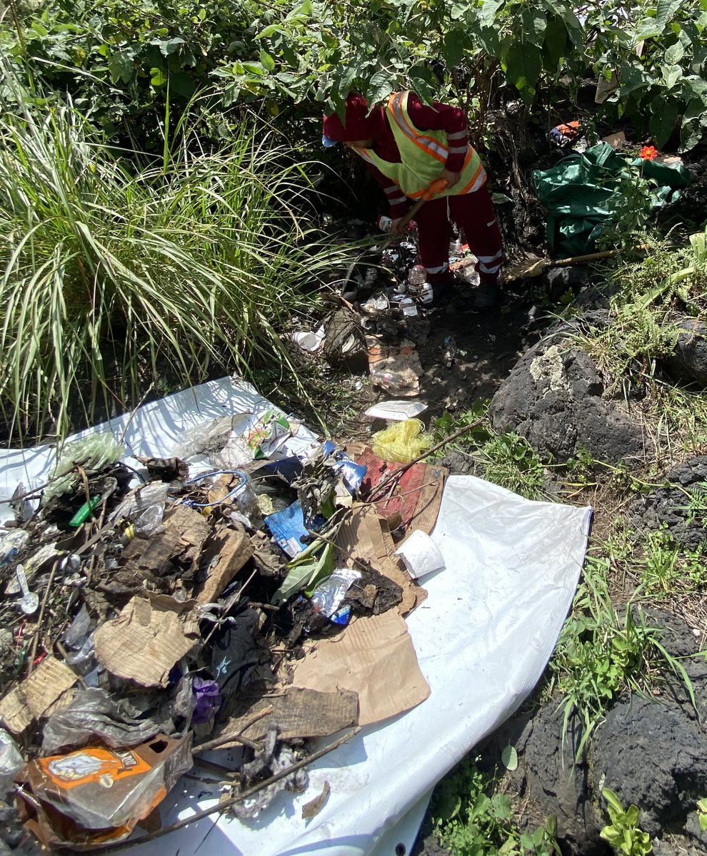 rutamex68's tweet photo. Ruta y sus espacios ecológicos han sido afectados con la basura generada por indigentes, dañándose la flora y fauna nativa. 

Gracias por el apoyo a:  @SOBSECDMX por su incansable labor de limpieza  @SEBIEN_cdmx Instituto de Atención a Poblaciones Prioritarias y la 
 @SSC_CDMX https://t.co/JVq5WOB5X2