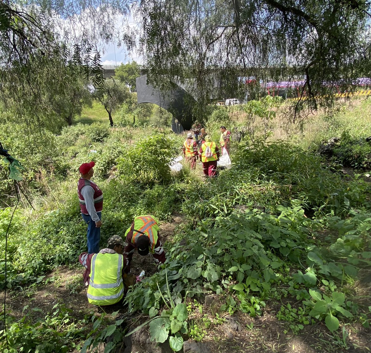 rutamex68's tweet photo. Ruta y sus espacios ecológicos han sido afectados con la basura generada por indigentes, dañándose la flora y fauna nativa. 

Gracias por el apoyo a:  @SOBSECDMX por su incansable labor de limpieza  @SEBIEN_cdmx Instituto de Atención a Poblaciones Prioritarias y la 
 @SSC_CDMX https://t.co/JVq5WOB5X2