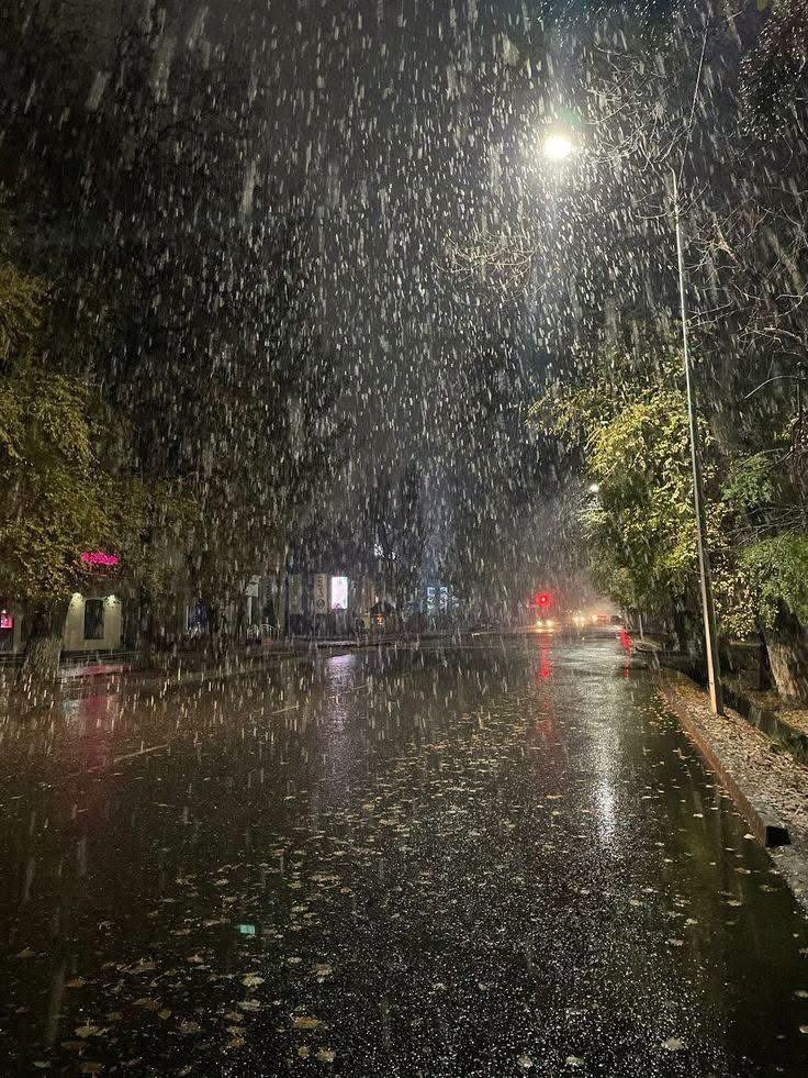 spooky_nature's tweet photo. say “yes” if you like rain 🌧️ https://t.co/OZaSpBNl4c