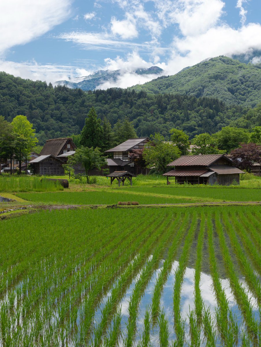 echoesofworld's tweet photo. Japan countryside https://t.co/GhCpxUplV7