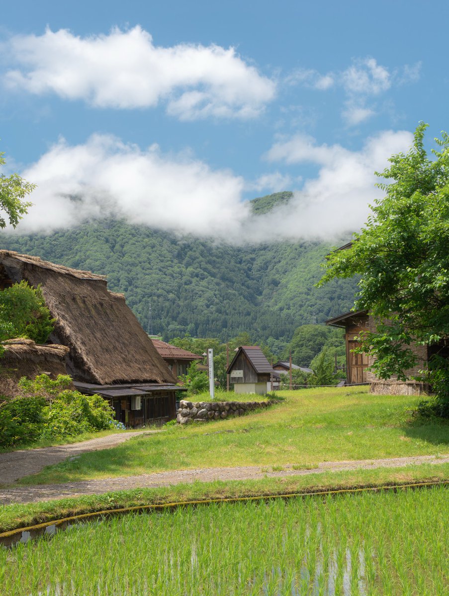 echoesofworld's tweet photo. Japan countryside https://t.co/GhCpxUplV7