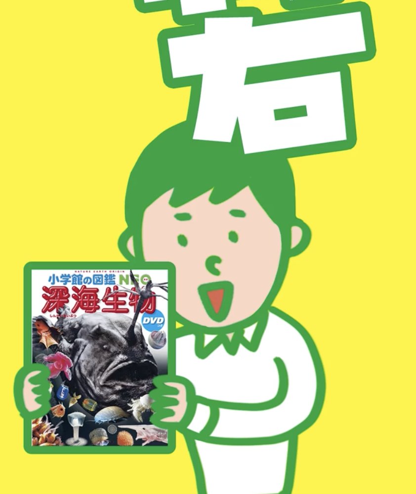ZUKAN_NEO_PR's tweet photo. 👀 30秒のつもりが、気づけば何本も見ていました。
図鑑NEO公式TikTokは、
夏休みも毎日更新��🎥✨
子どもも大人も楽しめる
「知るって面白い！」動画をお届けします🌎
https://t.co/I1FsPo65fW https://t.co/ZxiUDL1gtX