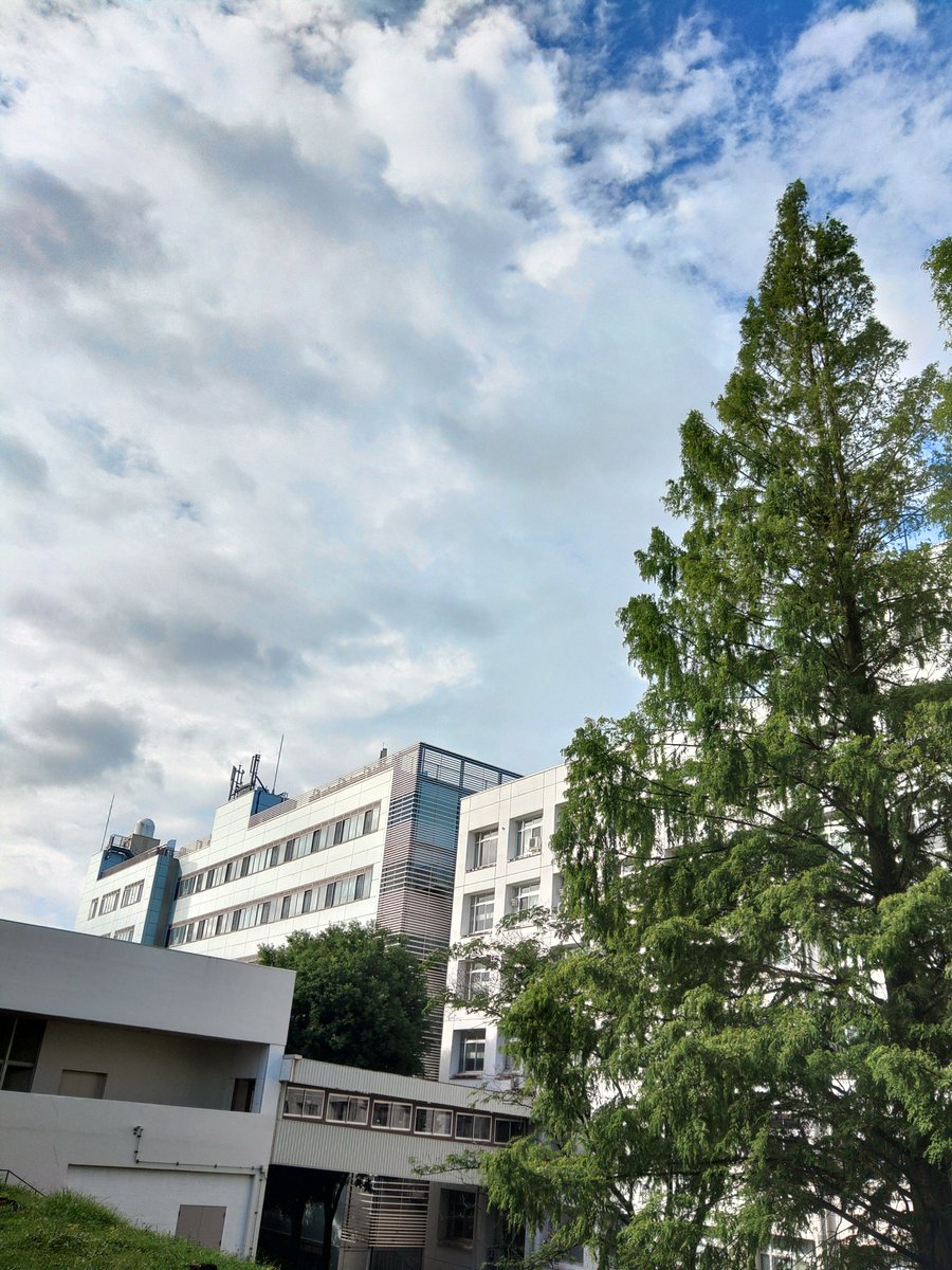 SSS_Fukushima's tweet photo. #福島大の空模様
おはようございます。地震の被害に遭われた皆様にお見舞い申し上げますとともに、救助ならびに復旧にあたっている皆様に御礼申し上げます。 https://t.co/oBwZyqLH28