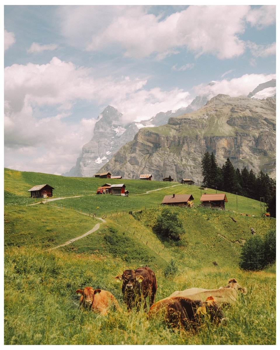 echoesofworld's tweet photo. Switzerland https://t.co/ia9cWLMxkd