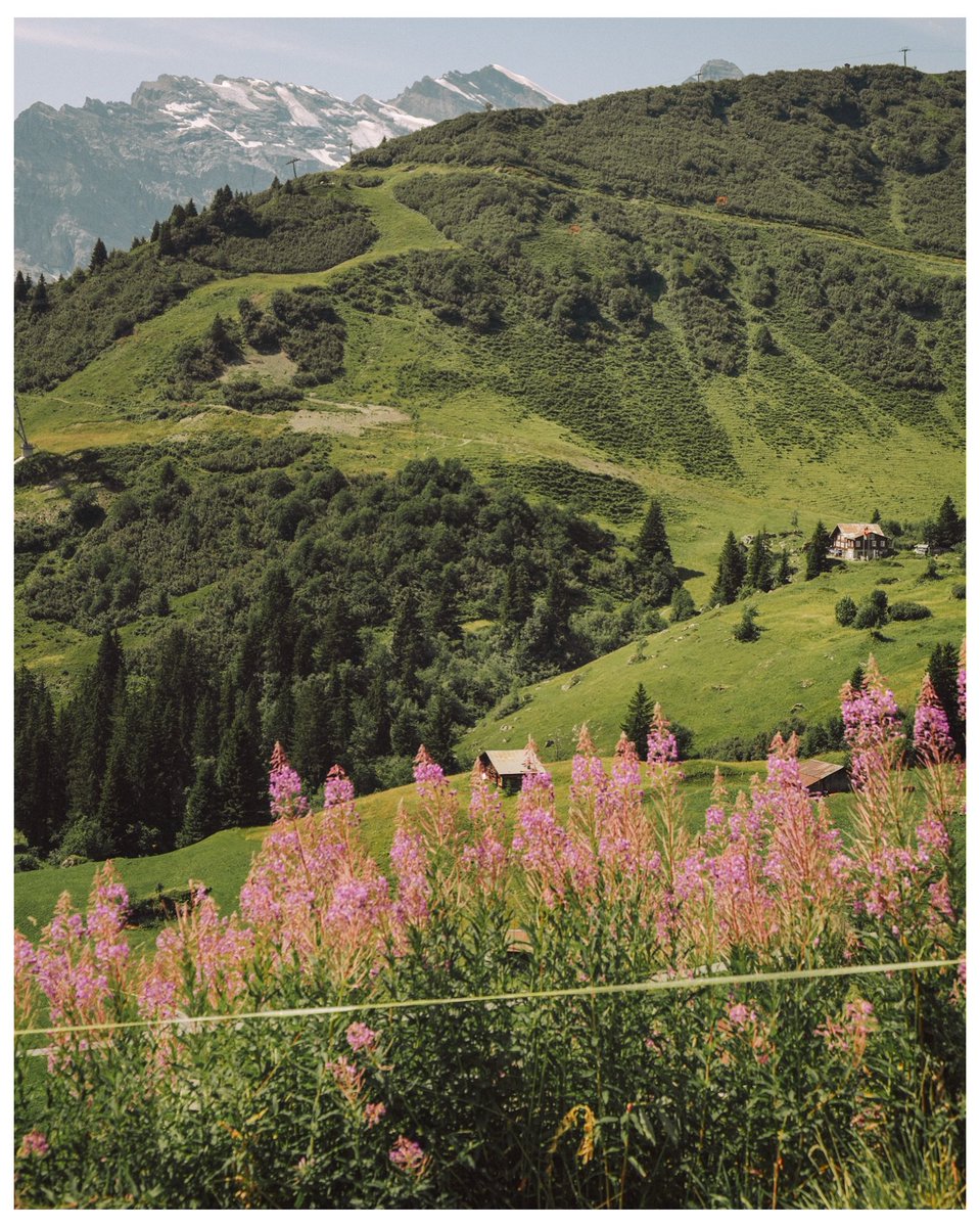 echoesofworld's tweet photo. Switzerland https://t.co/ia9cWLMxkd