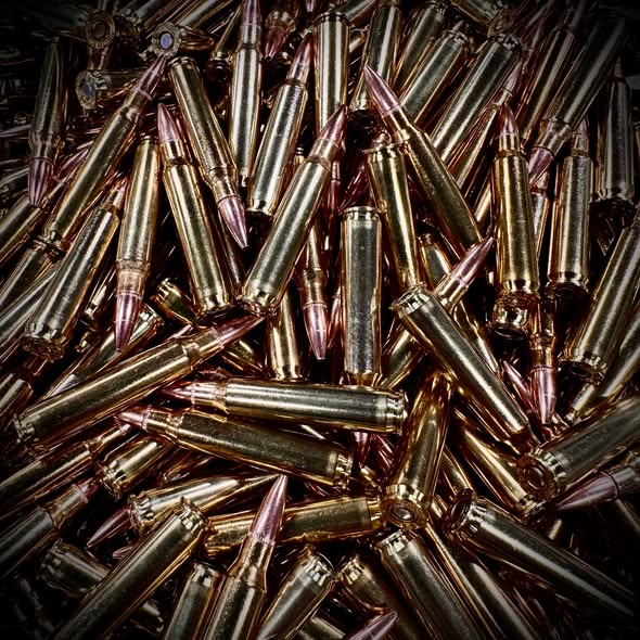 SportingSystems tweet picture