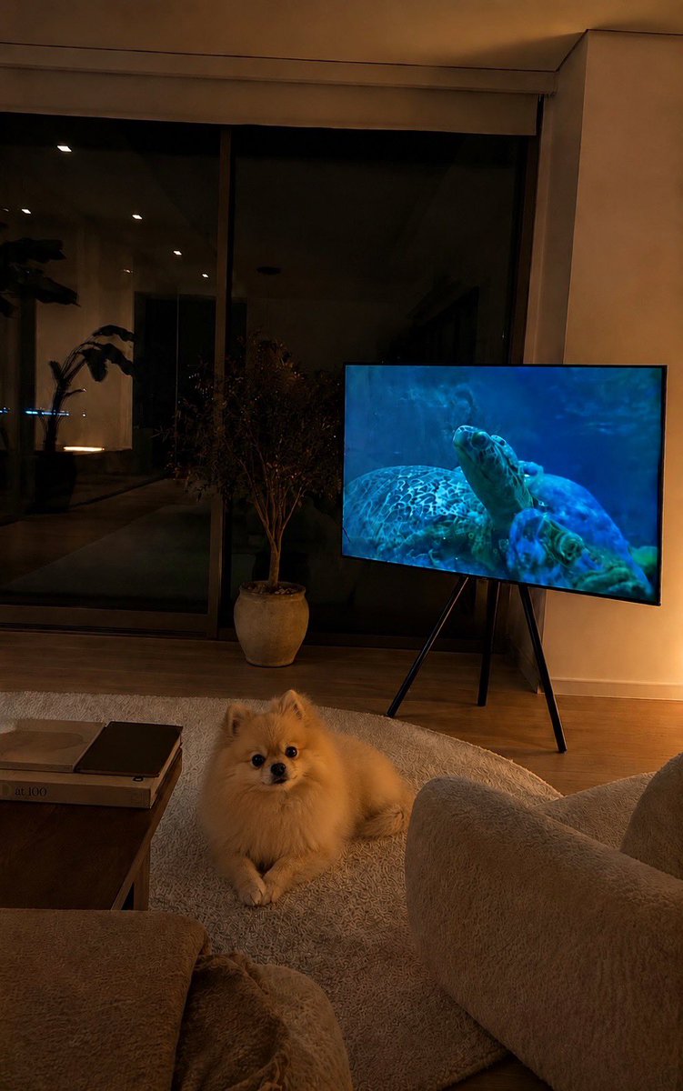 Dogukanyaaa's tweet photo. Hastaymışım, o bana bakarmış 🙂 https://t.co/cRiQ6glqqU