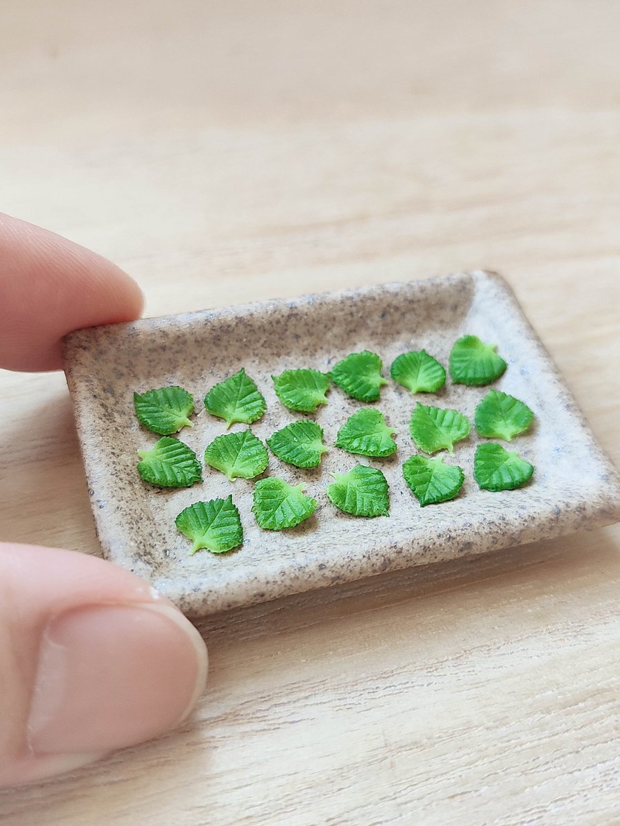 torakomade's tweet photo. おはようございます🌿 https://t.co/PcGdcVJnpi