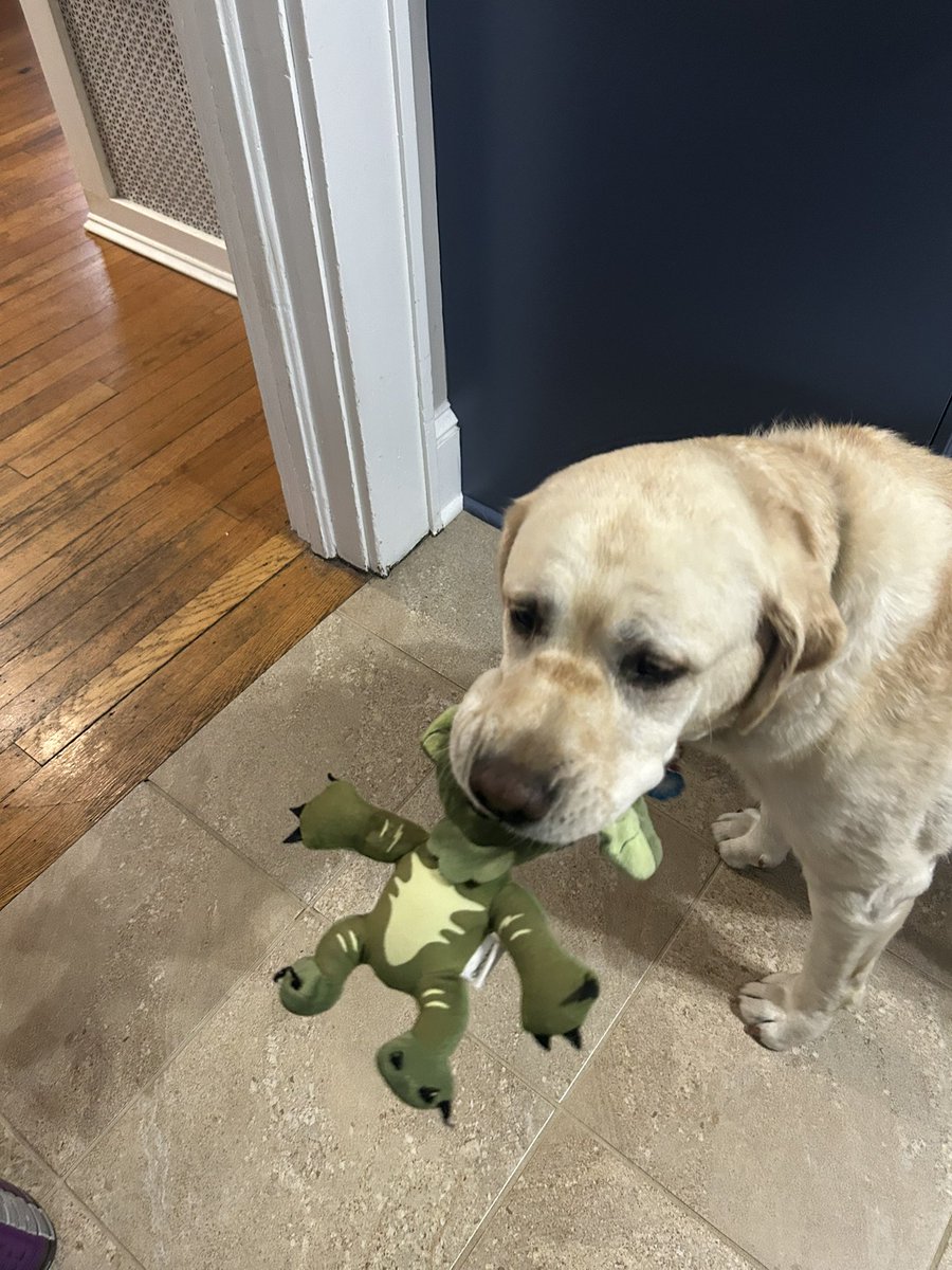 ShepGoesBlep's tweet photo. Bro didn’t stand a chance 💔 https://t.co/5U94GDqSoL