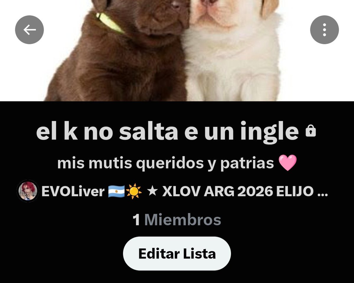 EVOLiver 🇦🇷☀️ ★ XLOV ARG 2026 ELIJO CREER ❤️💛🩷🩵 tweet media