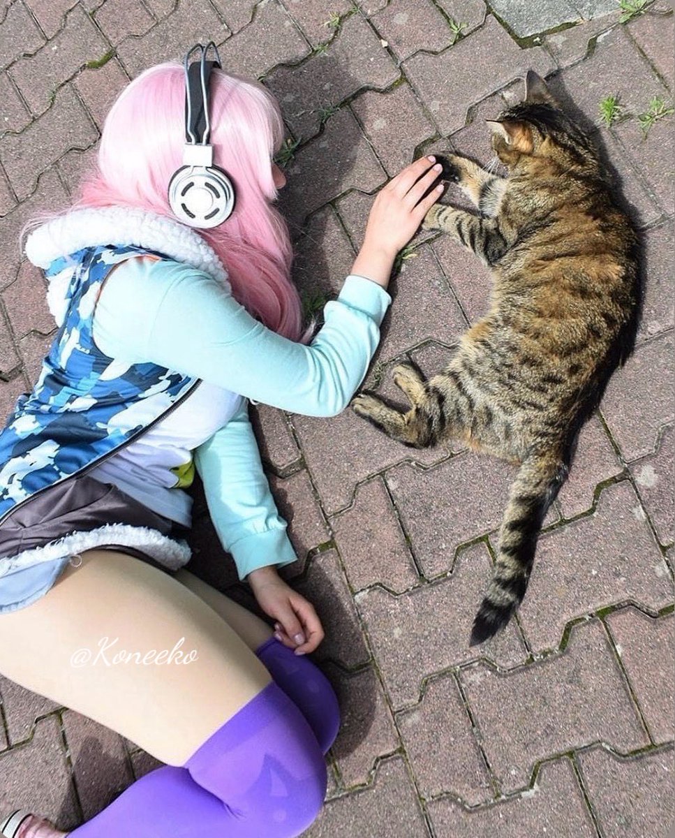 zeppelisimp's tweet photo. Super Sonico Cosplay (+cat) 

#cosplay #supersonico https://t.co/fsJgNXKTm9