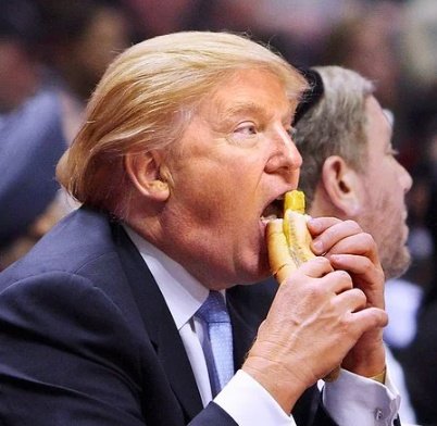 CattardSlim's tweet photo. Baby monkeys can lead food to their mouth within one month of birth.

Like closing an umbrella, that's a skill that the Maga genius still struggles with. 👇 

https://t.co/Vh0QTjvT3R https://t.co/Pndmoa6TxP