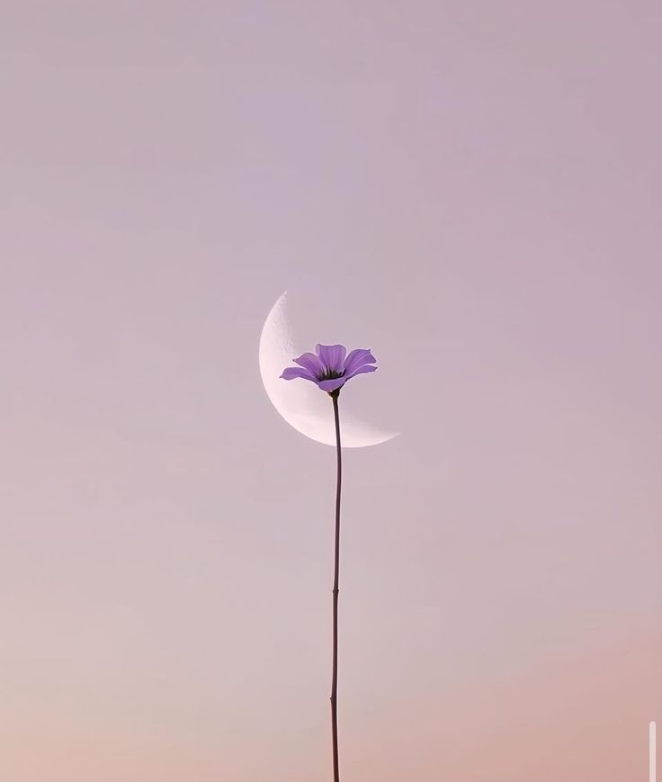 calmlivng's tweet photo. https://t.co/a71PsWpfGD