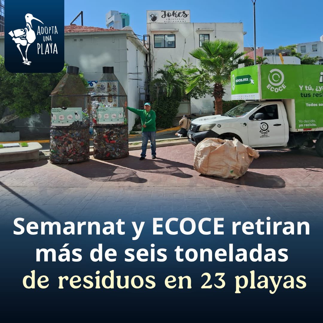 SEMARNAT_mx's tweet photo. 📄 #COMUNICADO | Semarnat y @ecoceac retiran más de seis toneladas de residuos en 23 playas.

➡️ https://t.co/VbG2kOolqm
#SomosMedioAmbiente https://t.co/WCU4DNCI4e