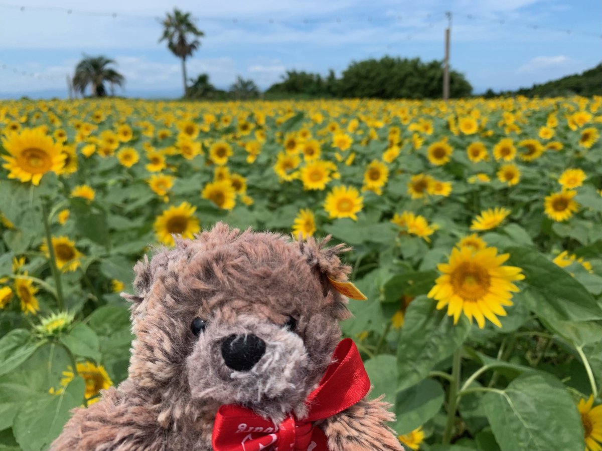 _rapyuta's tweet photo. おはようございます https://t.co/SOHiBjje1z