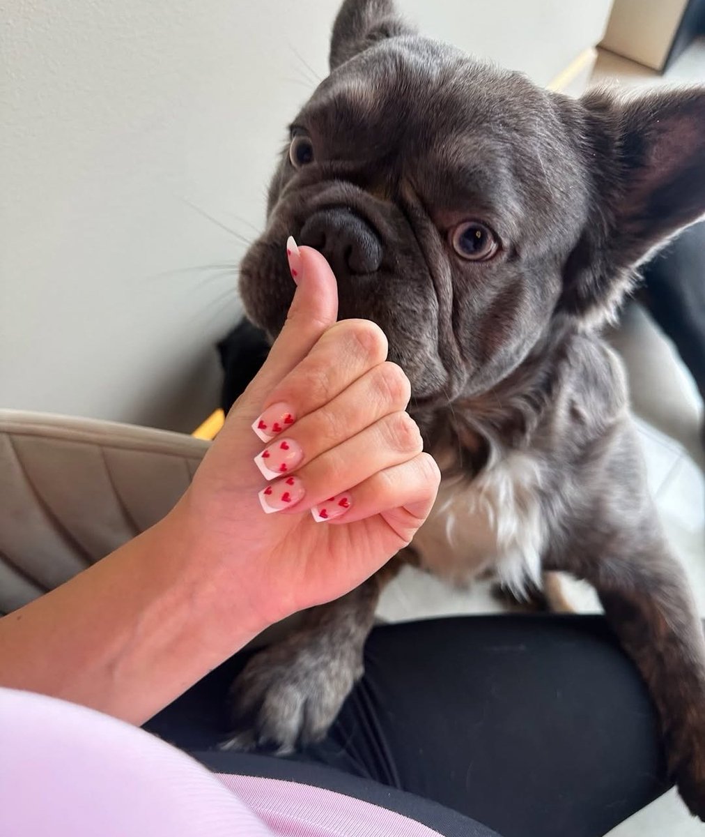 KNOTTYMADD4's tweet photo. Zoo model who gives pleasure to her dogs because she likes it so much dog!🥰📷 
#Dogwhore
https://t.co/7FN9bujZiG https://t.co/6j6lh2DiIH