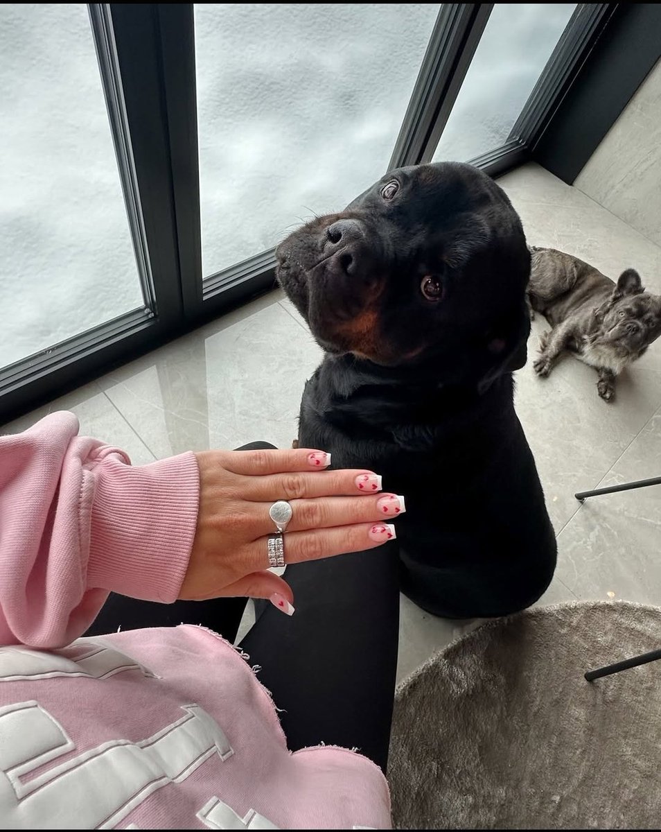 KNOTTYMADD4's tweet photo. Zoo model who gives pleasure to her dogs because she likes it so much dog!🥰📷 
#Dogwhore
https://t.co/7FN9bujZiG https://t.co/6j6lh2DiIH