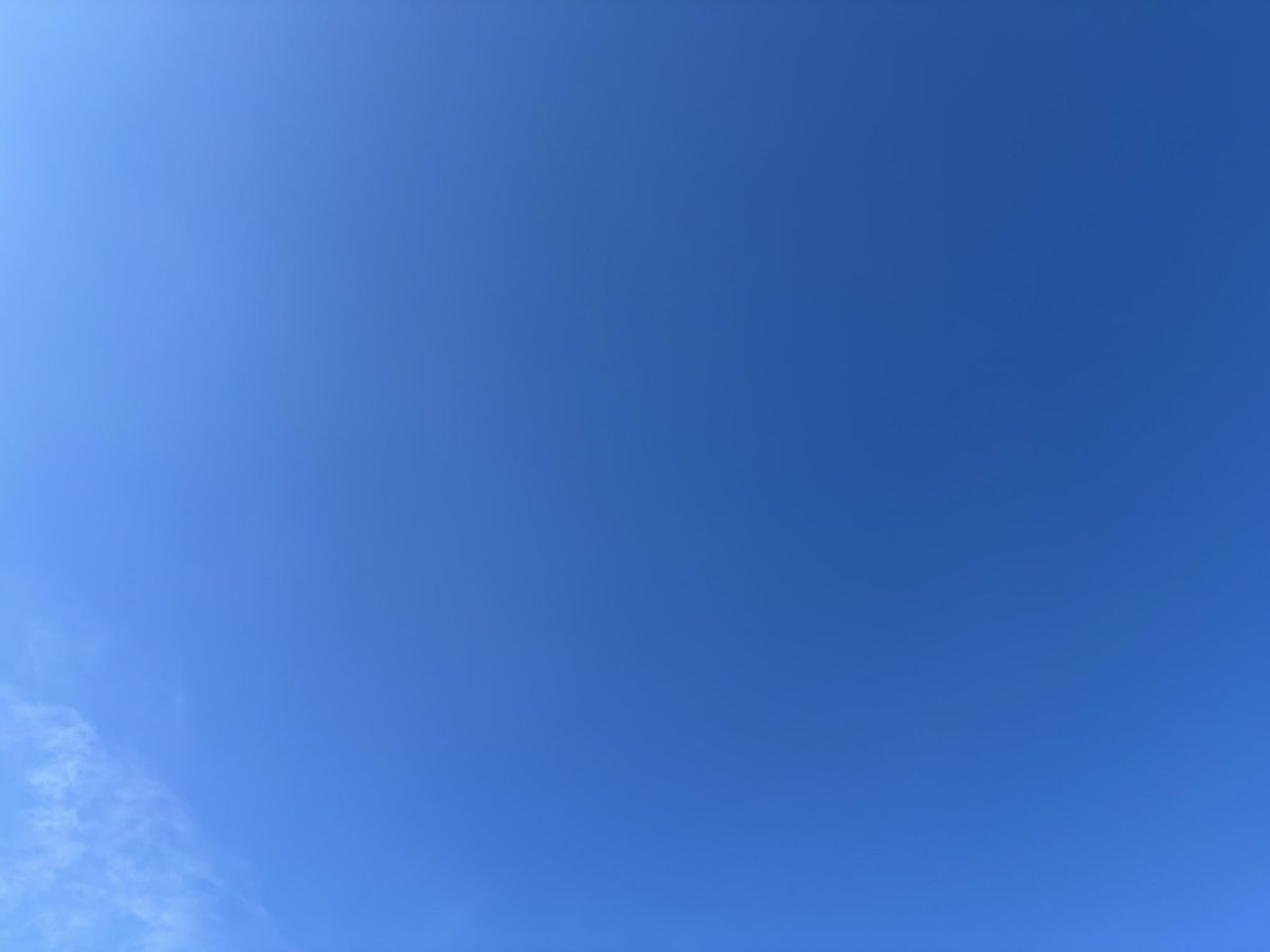WangLego2's tweet photo. おはようございます。
今日もXと同じ空のもとで繋がっていることに感謝しつつ。
お互いご自愛とご武運を。
よろしくお願いします。 https://t.co/rvULVcKZnI