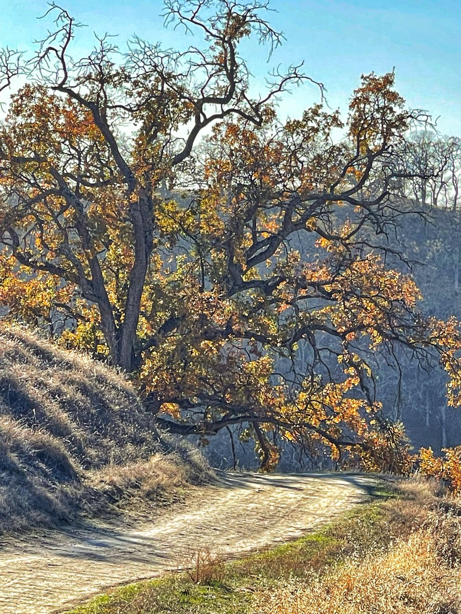 ASamorex's tweet photo. #TrailTuesday QP or share yours https://t.co/1a7oP6Cw16