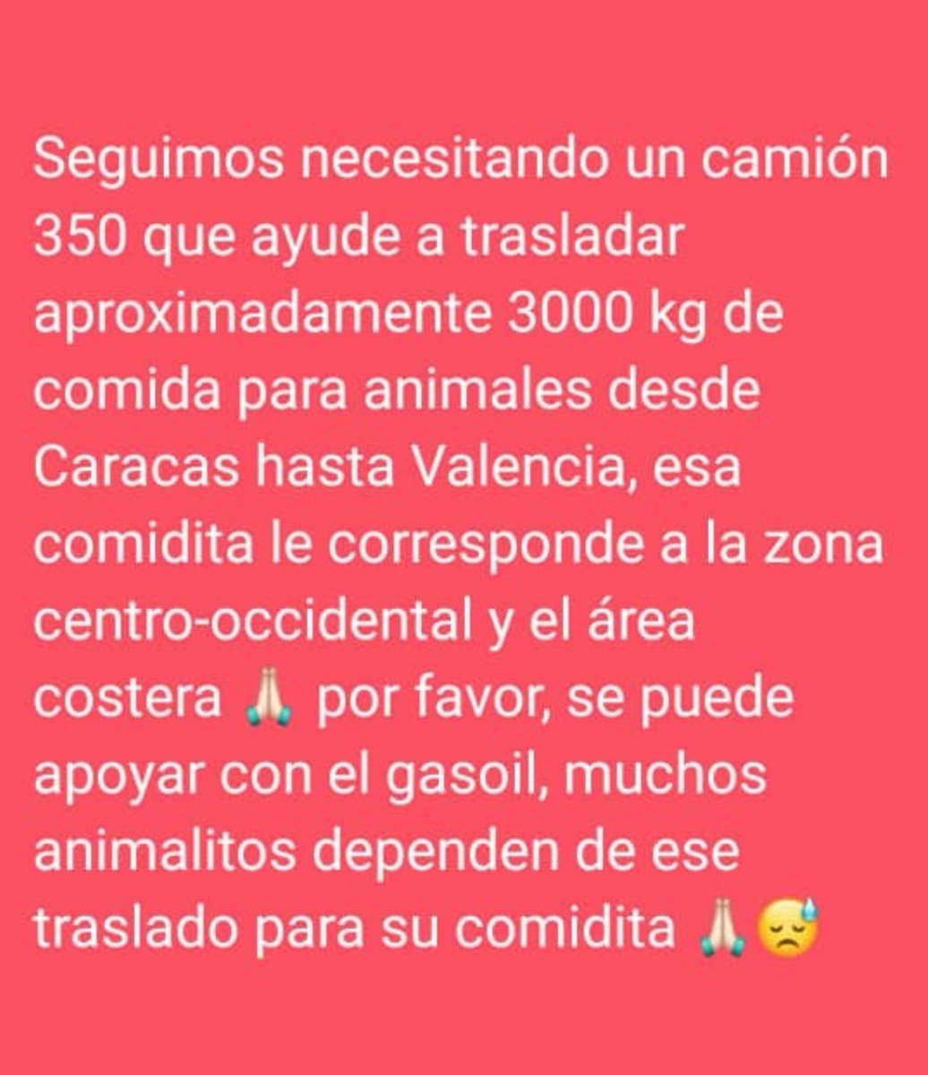 Mary_Jar's tweet photo. 🚨🚨Urge difusión por favor... 

Contacto: +58 424-7505575

@PerroUsuario https://t.co/2GCbWtmj4k