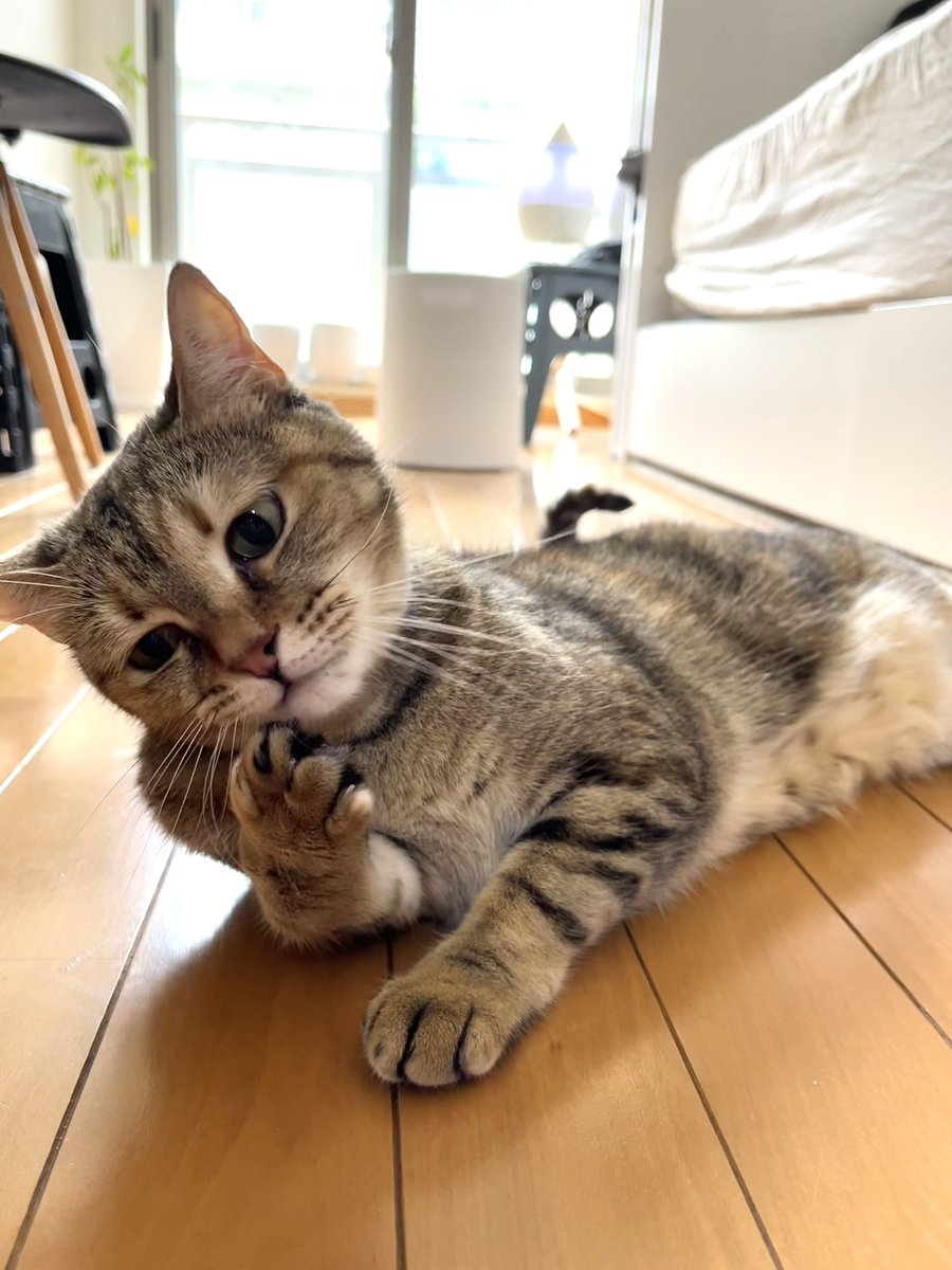marshallizm9's tweet photo. 金運線ってどれ？ https://t.co/sF5pvy0gMI