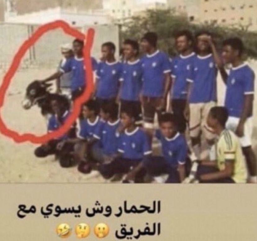 7la tweet media