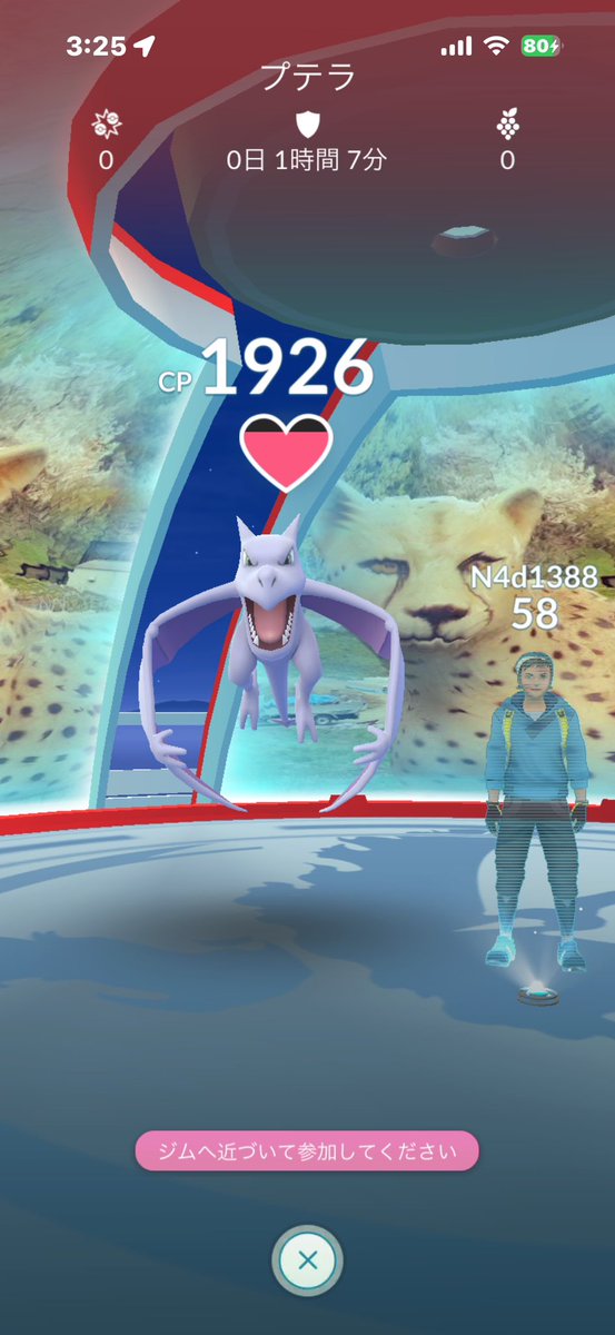 Pokego2468's tweet photo. N4d1388

営業時間外の動物園内へのジム置き

#ポケモンGO  #位置偽装
#チート #pokemongo #Niantic 
#locationcamouflage #cheat https://t.co/nrTfxqWUx0