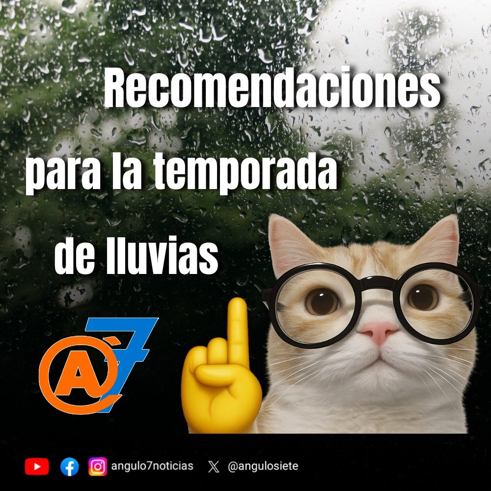 angulosiete's tweet photo. 🌧️ #Cuídate | Las lluvias pueden sorprenderte. Evita cruzar calles inundadas, mantente informado y sigue las recomendaciones de Protección Civil para protegerte a ti y a tu familia. 

💧⚠️ En esta temporada, la prevención hace la diferencia. https://t.co/uURCPTL6JJ
