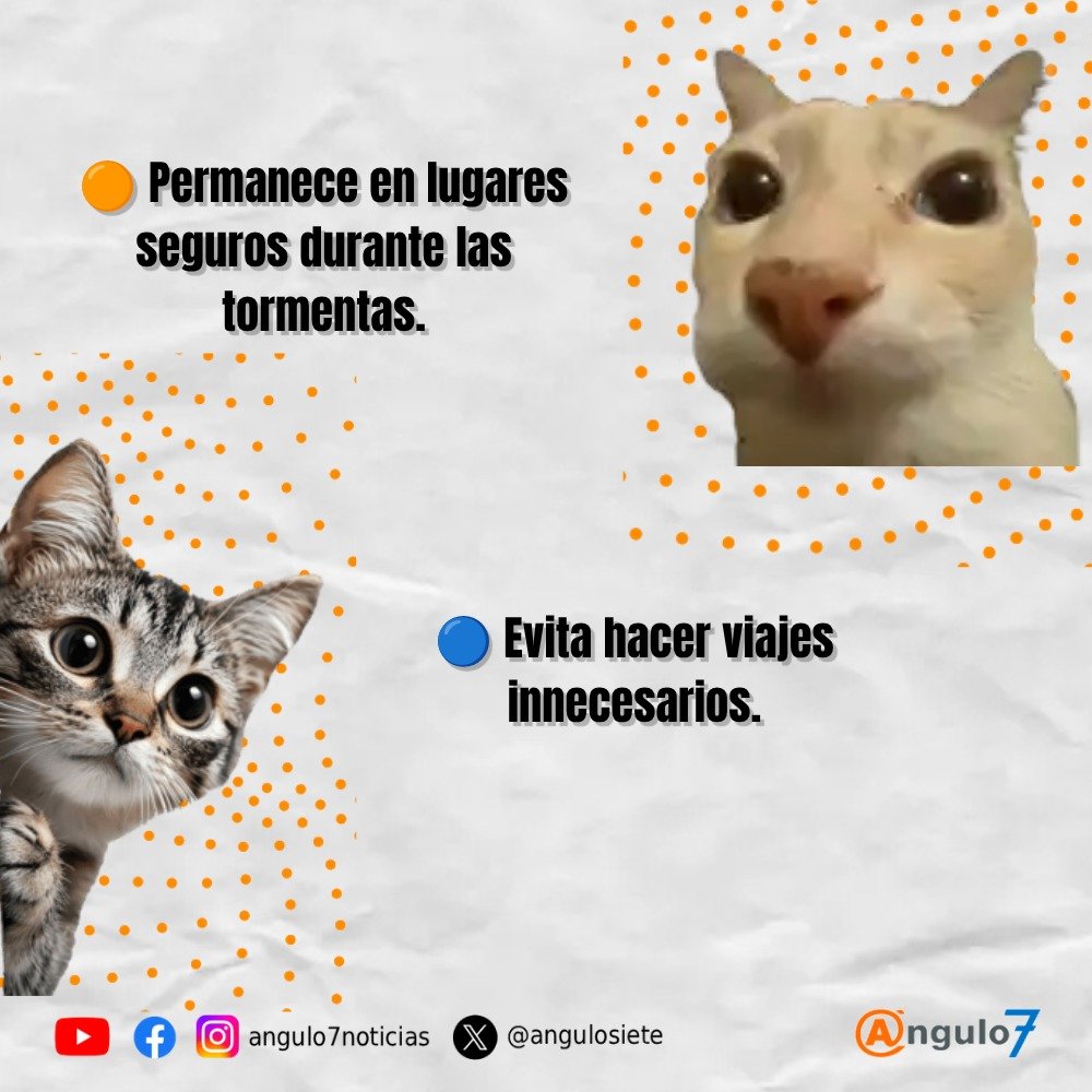 angulosiete's tweet photo. 🌧️ #Cuídate | Las lluvias pueden sorprenderte. Evita cruzar calles inundadas, mantente informado y sigue las recomendaciones de Protección Civil para protegerte a ti y a tu familia. 

💧⚠️ En esta temporada, la prevención hace la diferencia. https://t.co/uURCPTL6JJ