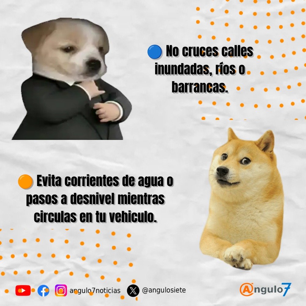 angulosiete's tweet photo. 🌧️ #Cuídate | Las lluvias pueden sorprenderte. Evita cruzar calles inundadas, mantente informado y sigue las recomendaciones de Protección Civil para protegerte a ti y a tu familia. 

💧⚠️ En esta temporada, la prevención hace la diferencia. https://t.co/uURCPTL6JJ