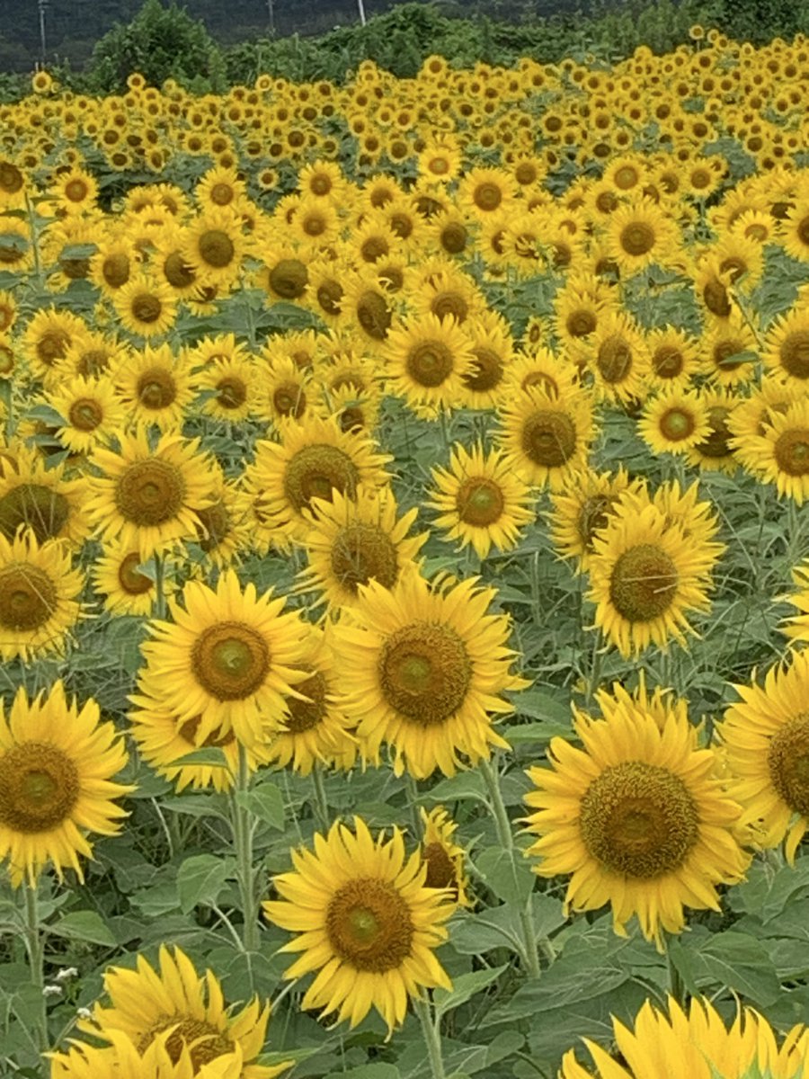 blu92255's tweet photo. 熊本地震により被害を受けられた皆様に心よりお見舞い申し上げます。
一日も早い復旧と平穏な生活の回復をお祈り申し上げます。 https://t.co/hVix18IlvR