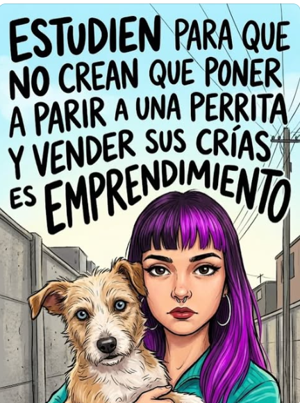 PiccininiAna's tweet photo. Si no querés estudiar, trabajá.
CON LOS ANIMALES: NO!!!! https://t.co/ks5Kk1OcPV