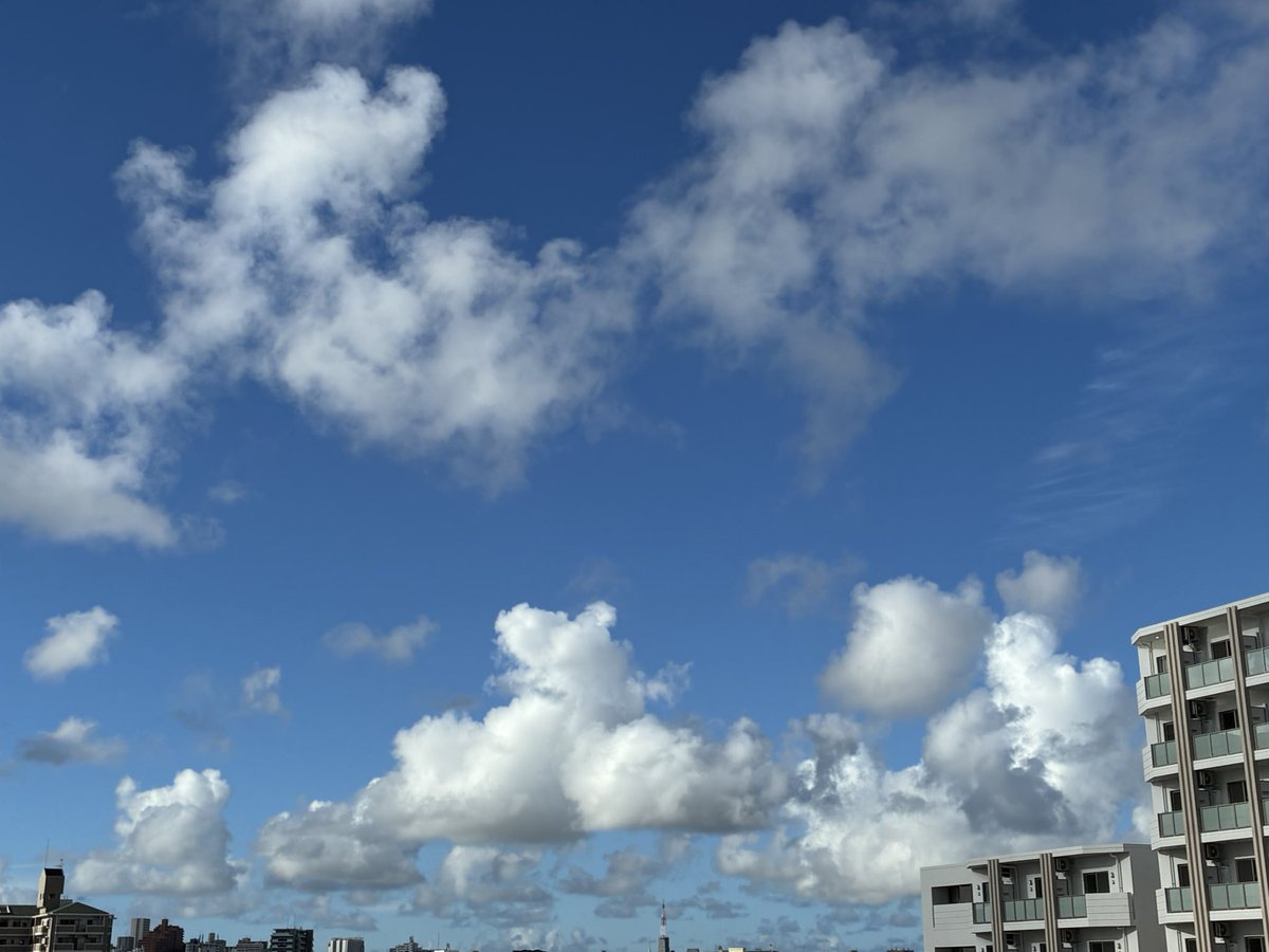 cdca78006b18452's tweet photo. おはようございます。🌤️

水曜日。
週の真ん中ですᕦ(ò_óˇ)ᕤ

今日もよろしくお願いします^ ^ https://t.co/69gcdg4Uyi