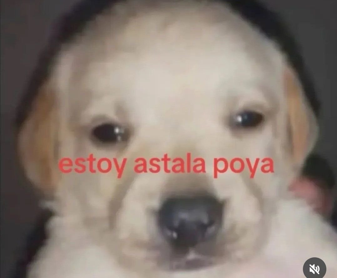 END__OUT's tweet photo. Que ganas de tener un amigo que me acompañe el gym, que mal que mis amigos o son flojos o no somos de la misma ciudad, lol. https://t.co/BpjOuhjk3B