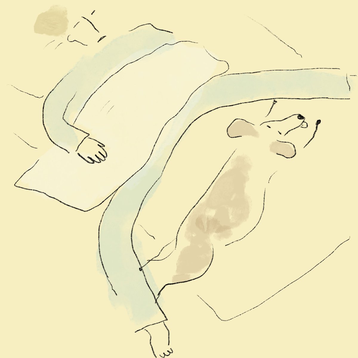riposhima's tweet photo. おはよー https://t.co/uxDTeyk6NP