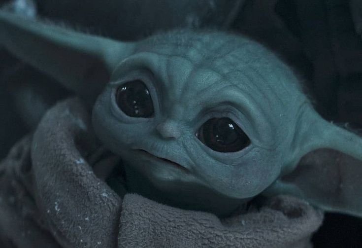 donhisiewen's tweet photo. The best baby
#Grogu #TheMandalorian https://t.co/OWMRMH0XTS