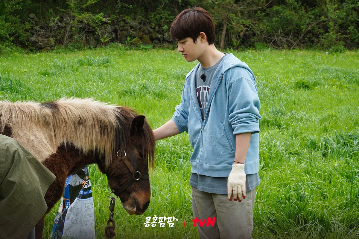 D.O.경수다움(kyungsoodaum) tweet media