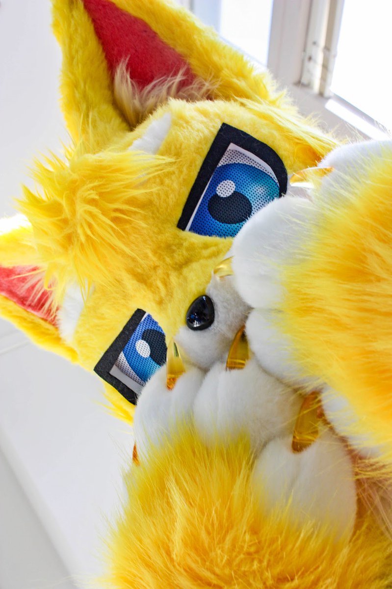 Edd_fur's tweet photo. 까꿍~! 아침이야 눈 뜨시지!!

#FursuitEverday
#Fursuit
#冒險日誌

📸 : @halfcat0715 https://t.co/kWeXMmFuFa