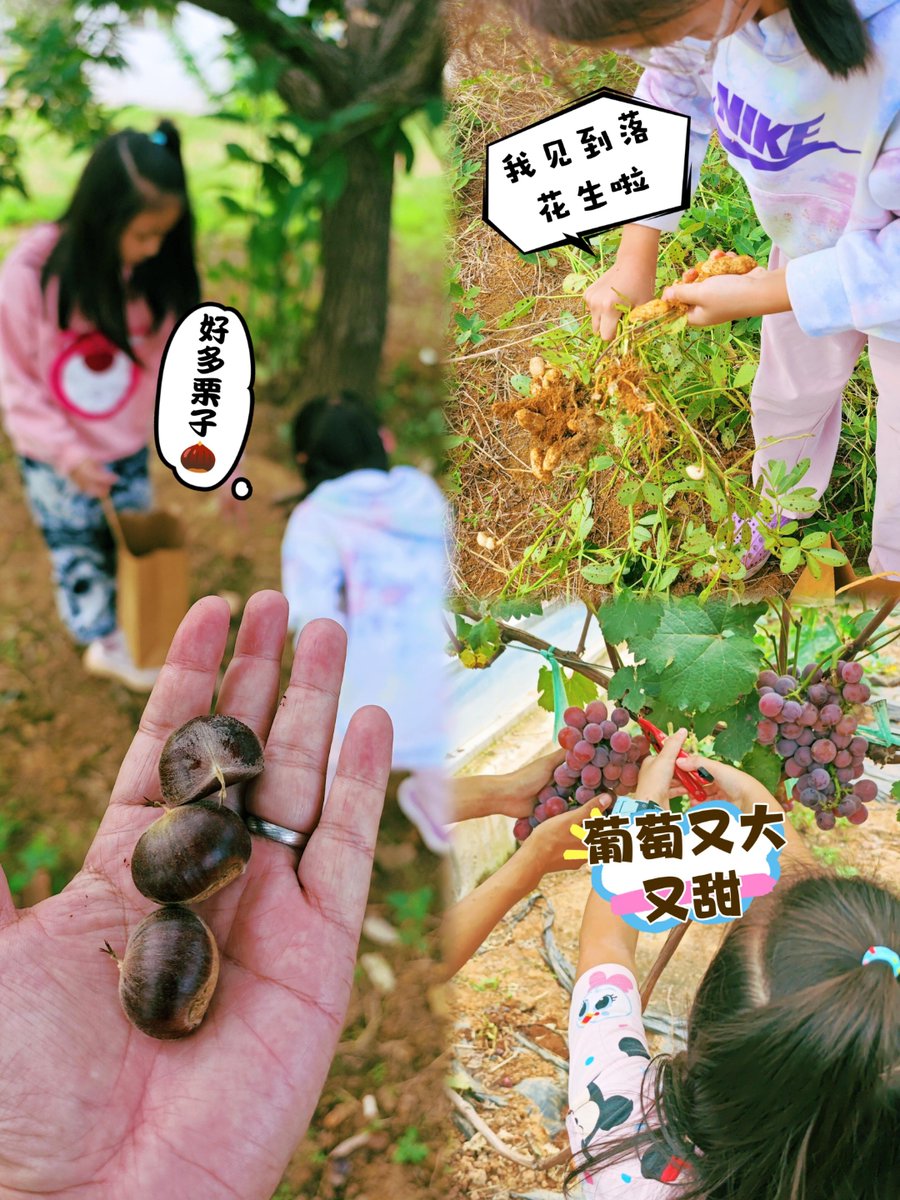 SherryOscalaea's tweet photo. 晚风裹着栀子香撞进帐篷，咬一口冰柠气泡水的爽脆，这是山野给周末的专属回信 https://t.co/8Xx0Tak2gE