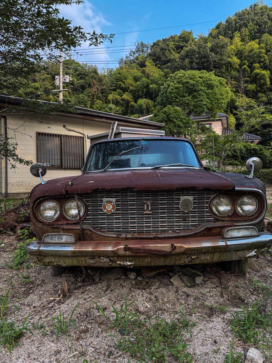 urbex_N's tweet photo. 草ヒロ　#廃墟 https://t.co/XDZFVcwYa2