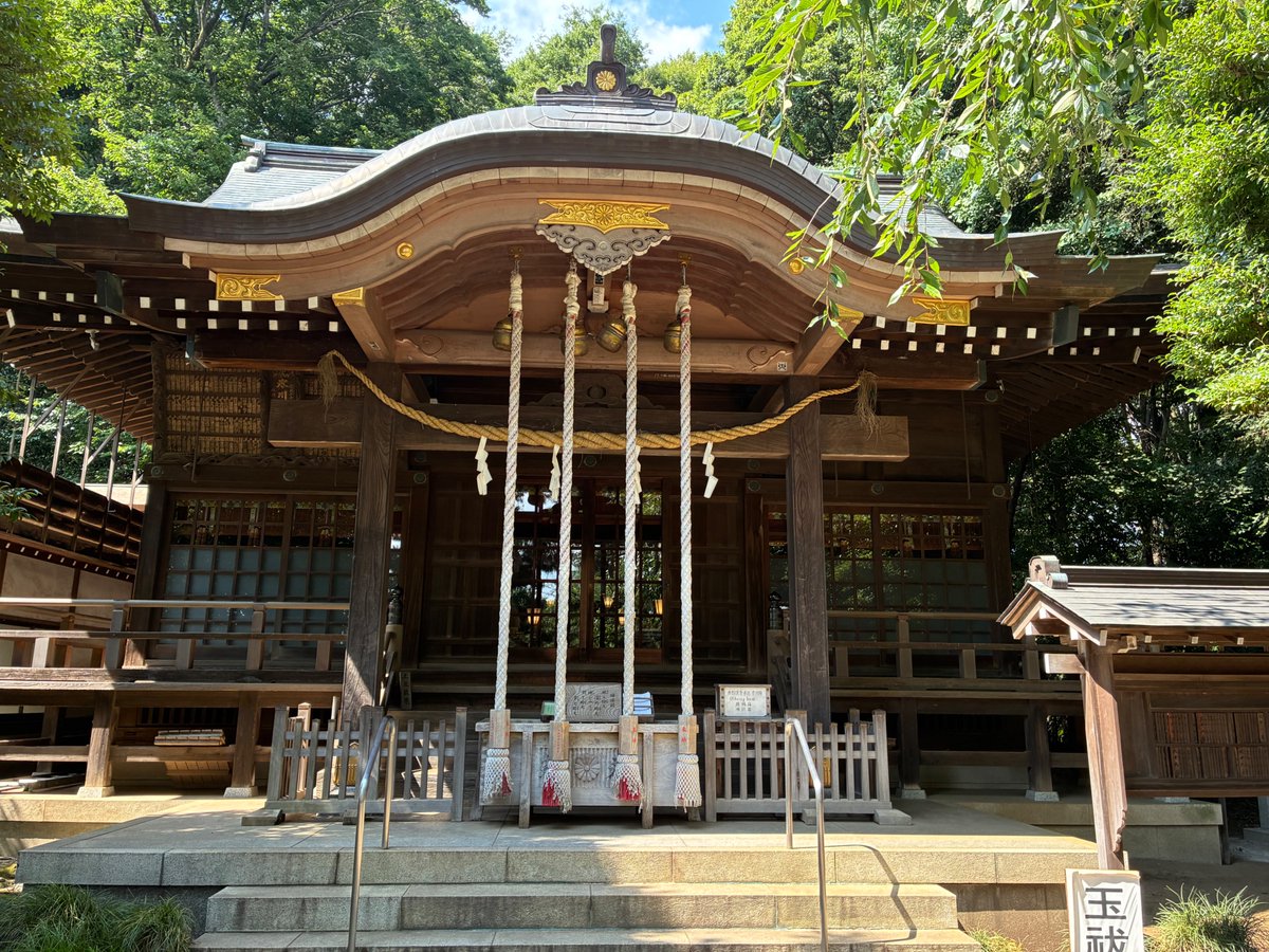 hikozard's tweet photo. 石神井氷川神社に参拝。
８月２日に「ちゃが馬七夕」が開催されます。
興味のある方はぜひ！
↓
https://t.co/ThidxC9nsrもうすぐ「ちゃが馬七夕」石神井氷川神社に参拝/

#石神井氷川神社 #ちゃが馬七夕　#御朱印 https://t.co/tA67c1nlMt