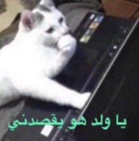 🕰️ tweet media