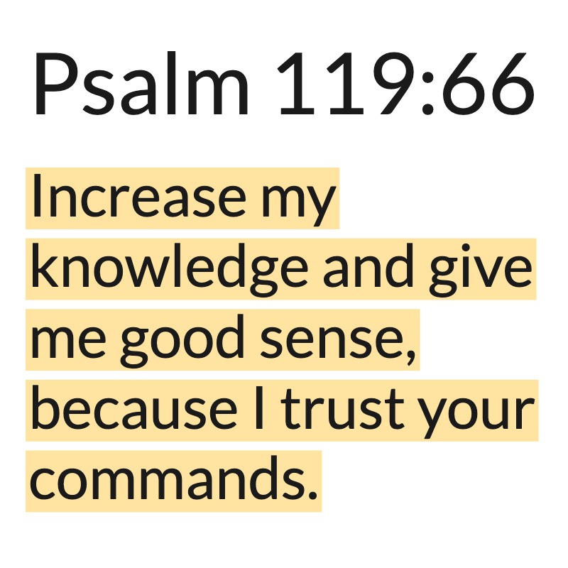 Jesus Insight tweet media