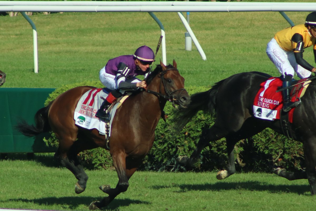 America’s Pastime Stables tweet media