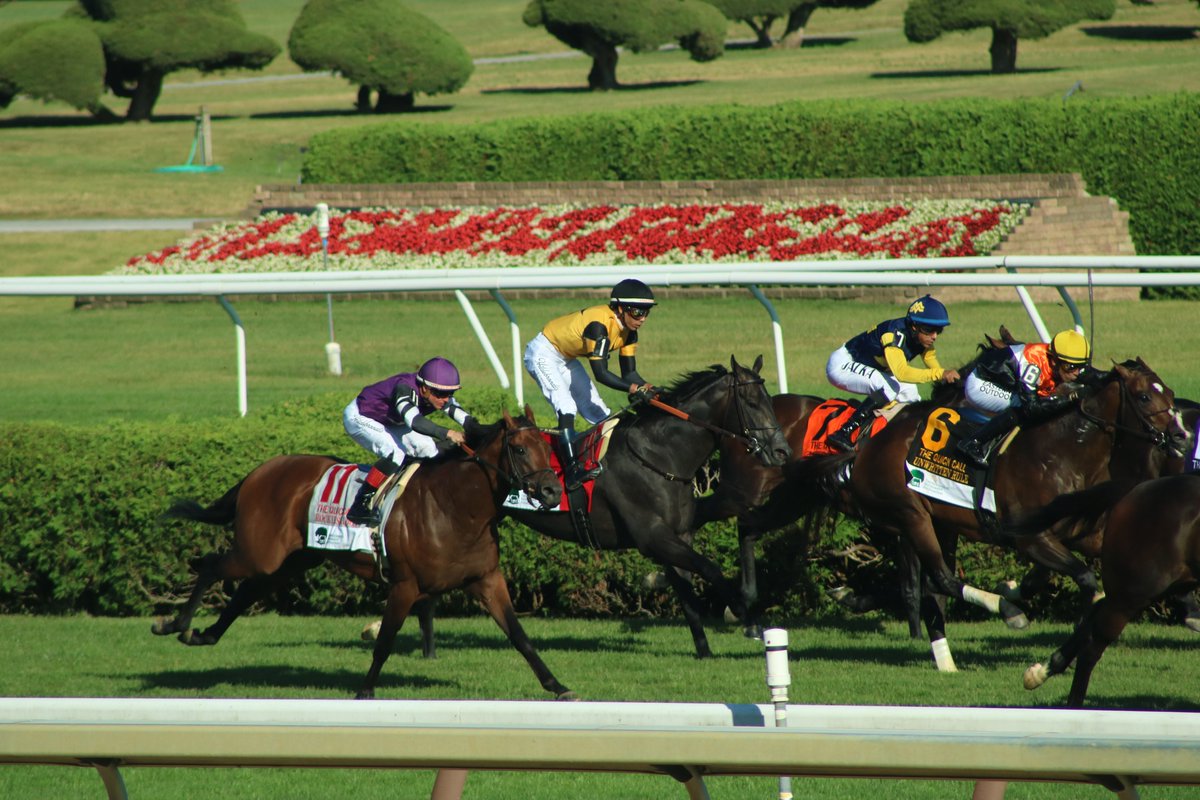 America’s Pastime Stables tweet media