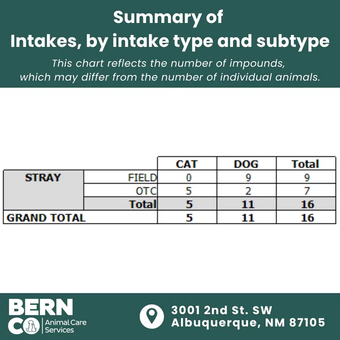 Table summarizing stray animal intakes by type, showing 5 cats and 11 dogs totaling 16 impounds at Bernalillo County Animal Care Services.