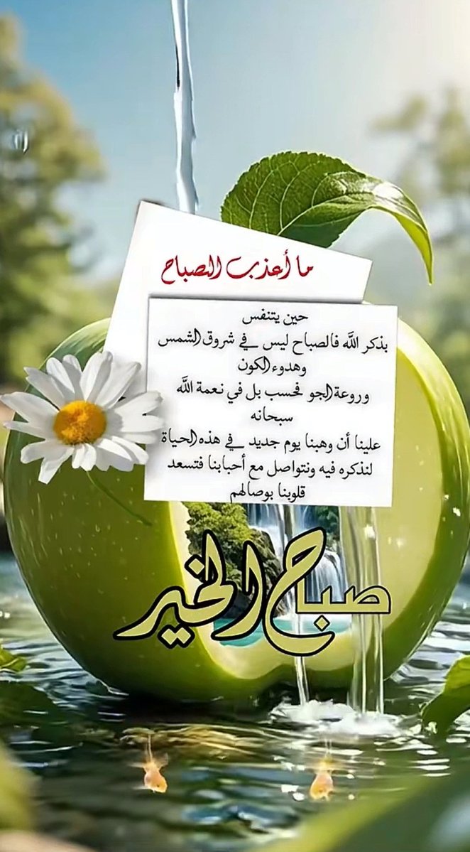 kearan9999's tweet photo. صبآحكم احلا صبآح 🌹 https://t.co/yUvTR1843I