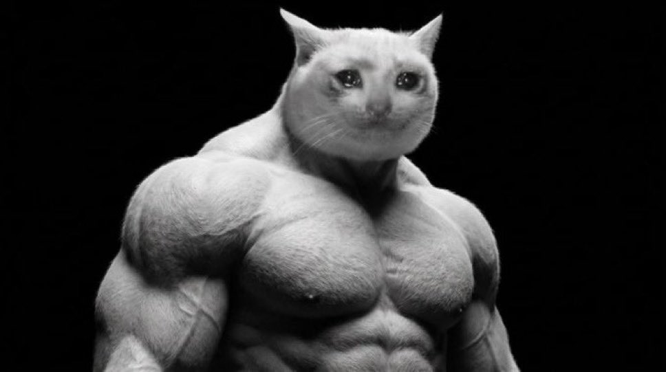 GroteBeer92's tweet photo. @CookerFlips $PONS -90% incoming. Nothing goes up in a straight line,It hasnt had its sell off yet. 

$CASHCAT getting ready for its second leg. It survived its first -85% https://t.co/vLQegPJ2Z3