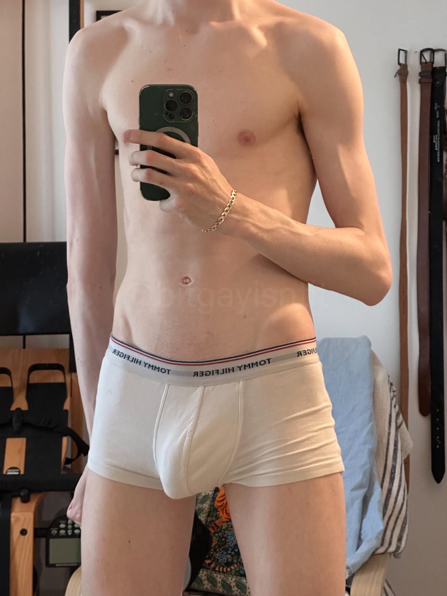 bitgayisntit tweet picture
