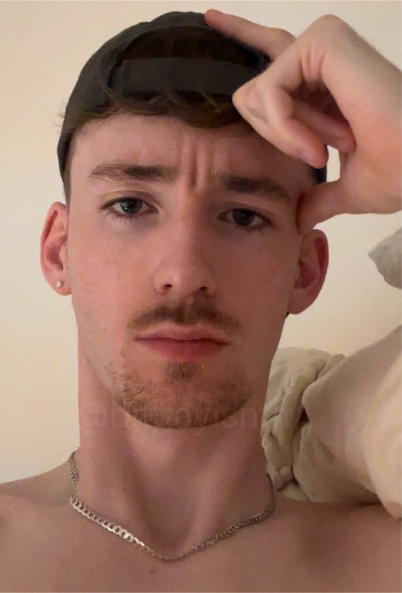 bitgayisntit tweet picture